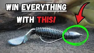 How To Win EVERY Summer Bass Fishing Tournament!