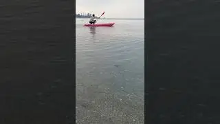 YOUNG MEN GO IN SEARCH OF SEAFOOD