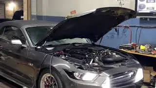 S550 Hellion Twin Turbo