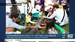 The BULLetin Board: Conservation expo at Odysea Aquarium