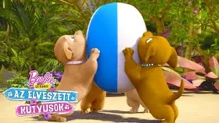 Bakik az Elveszett kutyusokb&oacute;l! | Barbie &eacute;s H&uacute;gai: az Elveszett Kutyusok | Barbie