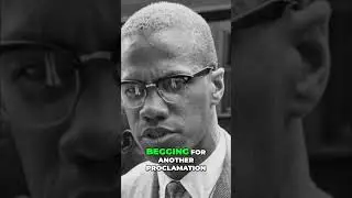 White Liberals Failed? Historical Look at Race Relations in America #shorts