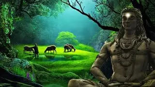 Study | Sleep | Journey | Focus | Healing Frequencies | Let Go of the Past & Align with New Energy