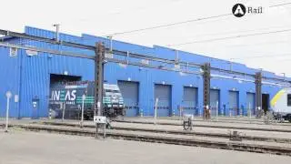 Roll-out Lineas 186 293