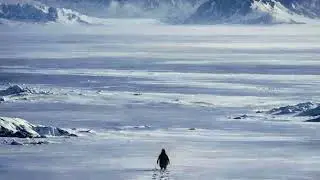 He Experienced the Journey Alone... but why?🐧 Footsteps & White Noise Ambience