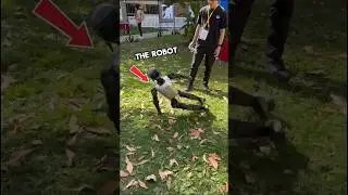 Robot&rsquo;s Unexpected Move!#RobotShock#UnexpectedMove#TechSurprise#RobotFails#ViralBot#FallingRobot