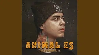 Animal Es