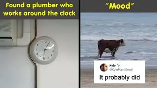 Hilariously Cringy Jokes And Puns To Send To Your Dad | Humor Sweet