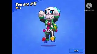 Rank 30 Rosa In Solo Showdown Guide: Tips and Tricks