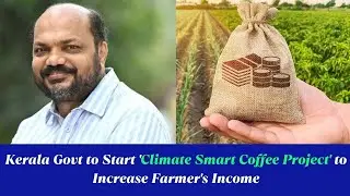 Kerala Govt to Start Climate Smart Coffee Project | Kerala Government | Coffee | Kerala Coffee