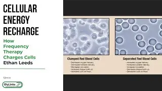 Ethan Leeds - How Frequency Therapy Charges Cells