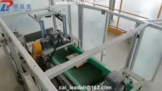 Secondary Packaging Machine for 500g 1kg 10kg Sugar Salt Rice Pouch into Pp Woven Bags
