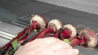 Water-jet cutting beets