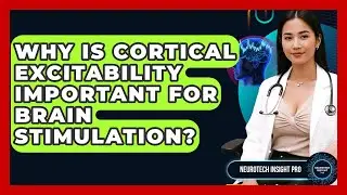 Why Is Cortical Excitability Important For Brain Stimulation? - Neurotech Insight Pro