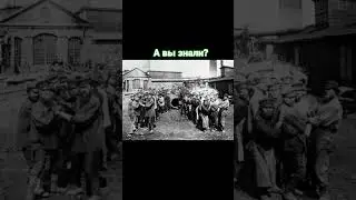 Исторический факт. #historia #рекомендации #факты #ютуб