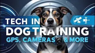 Revolutionize Dog Training with Tech: GPS Collars, Cameras & More!