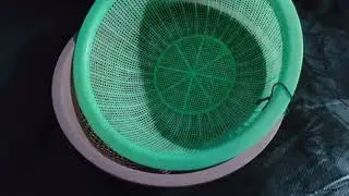 Plastic Fruit Bowl Cleaning Tips || Vegetable Draining Backet Cleaning || How To Clean Plastic bowl