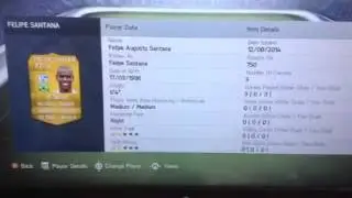 Sweaty squadbuilder 15k squad