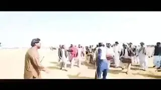 Camel festival at Rojhan Mazari