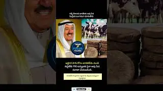 #WorldNews#CowDung #OrganicFarming#IndianProducts #ExportNews#ViralNews
