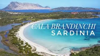I Tropici della Sardegna Cala Brandinchi 4k