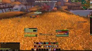 Rogue 5.2 PTR - тест разбойника