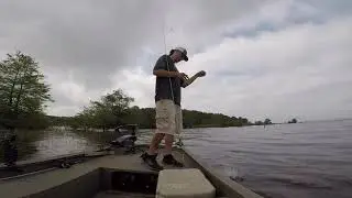 Couple Goodens,  Big worms and those days