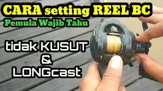 Cara setting Reel BC agar tidak kusut untuk pemula