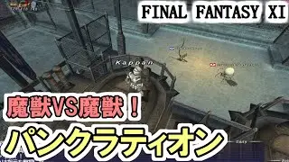 【FF11】新年箱ガチャ勝負！／パンクラティオンのチャンピオンに挑戦！