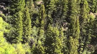 Robert Kirby Rides a Zipline in Provo Canyon
