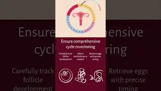 How to maximize your IVF success | Fertility Institute of San Diego