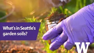 UW scientist tests soil for hidden contaminants in community gardens
