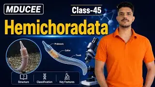 Hemichordata #csirnetjrf #csirnet #mducee2023 #lifesciences #mducee|  lecture-45