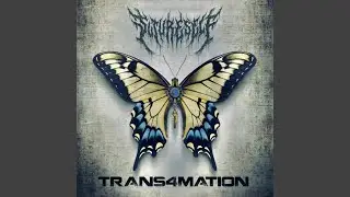 Trans4mation