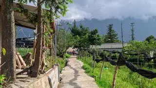 Гостевой дом Plum Sapa &mdash; отдельная комната, очень тихое место, Сапа, Вьетнам | Путешествие с Бхум...
