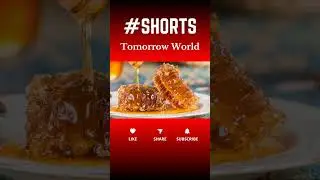 India's Honey Export Policy Change: Impact & Insights  | Tomorrow World
