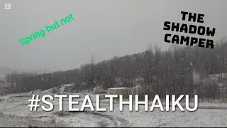 SPRING WINTER STEALTH CAMP. #stealthhaiku #stealthcampingalliance