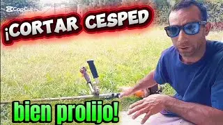 COMO CORTAR PASTO O CÉSPED PROLIJO CON DESMALEZADORA O DESBROZADORA O BORDADORA EN CASA O JARDÍNES