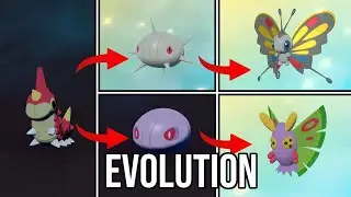 Wurmple | Silcoon | Beautifly | Cascoon | Dustox | Evolution in Pokemon Legends: Arceus | PLA