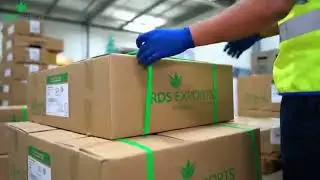 Aloe Vera Manufacturing