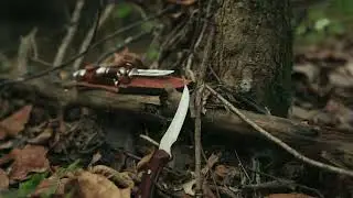 WR Case - Tennessee Cutlery