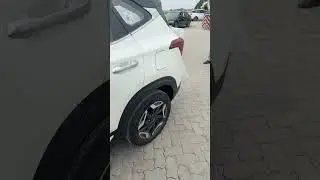 Professional loading cars to Algeria , Annaba , Oran , skikda , alger , djen djen
