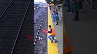 Heroic Rescue: Puppy Saved from Oncoming Train