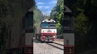 CSR007, SCT001, SCT003, CSR014, and CF4433 climb through Adelaide Hills #trains
