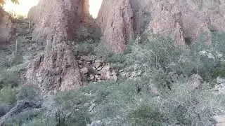 Palm canyon in the KOFA wildlife refuge