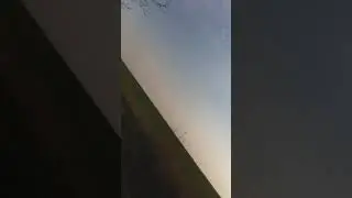 Cel mai rapid cal din lume