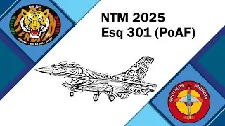 Esquadra 301 🇵🇹 | NTM25