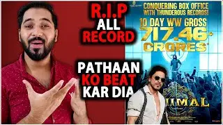 Animal Day 10 Official Worldwide Box Office Collection | Animal Box Office Collection India | Ranbir