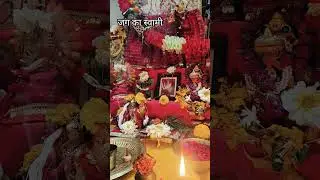 जग का स्वामी #song #love #music #live #trendingshorts #shiyam #lovemusic #shyamjibhakti #kedarnath