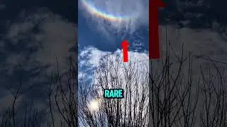 Top 5 Unique Rainbow Encounters